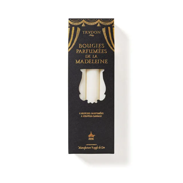 Gabriel Scented Madeleine Candles (6) - Christmas 2024